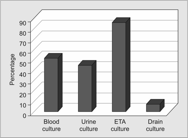 Graph 3