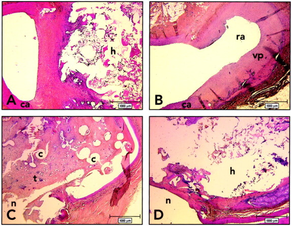 Fig 1.