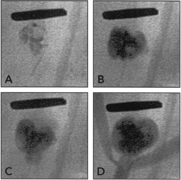 Fig 3.