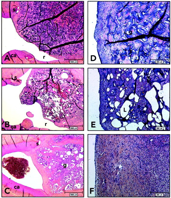 Fig 2.