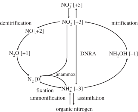 Figure 2.