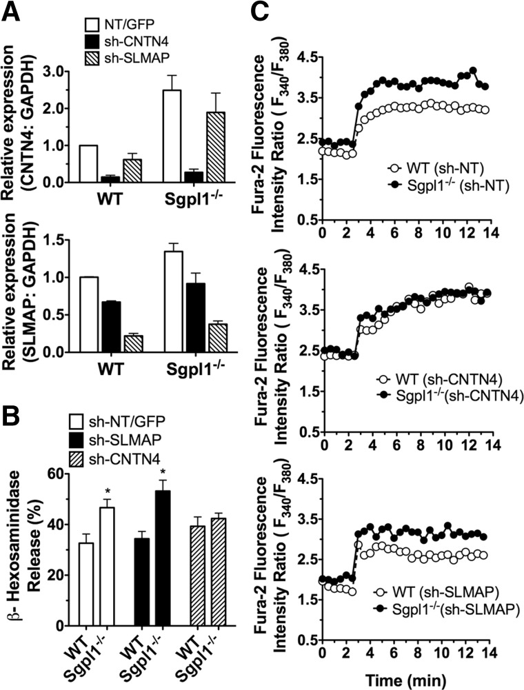 Figure 6.