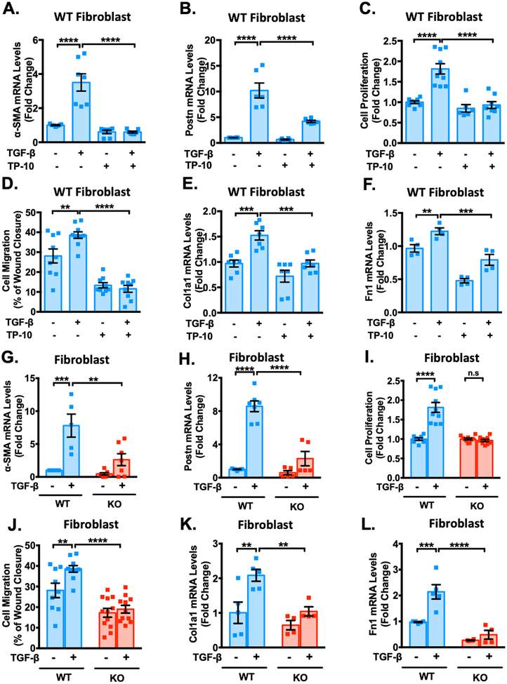 Figure 4: