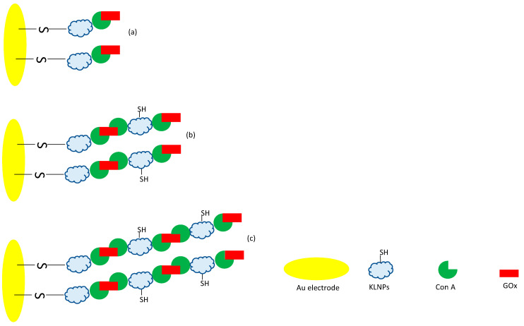 Scheme 3