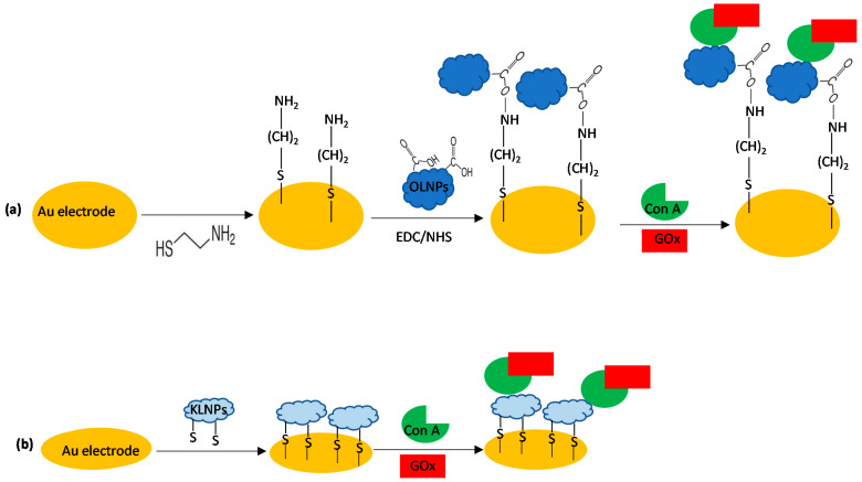 Scheme 2