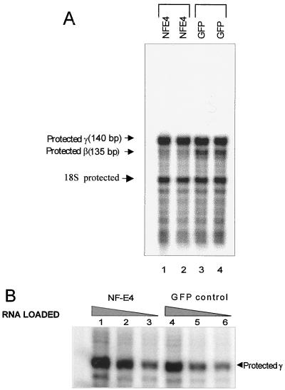 FIG. 7