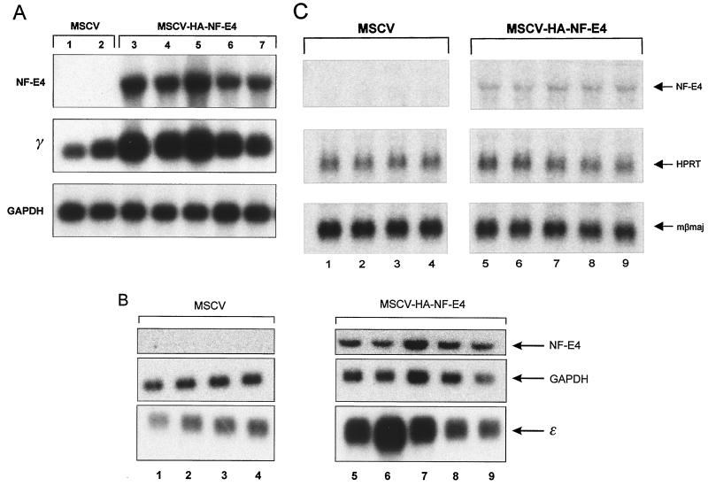 FIG. 6