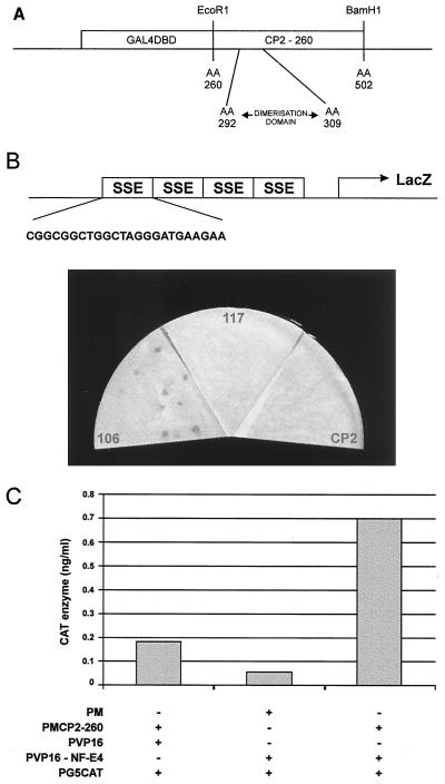 FIG. 1