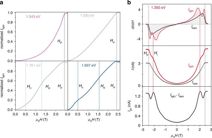 Fig. 4