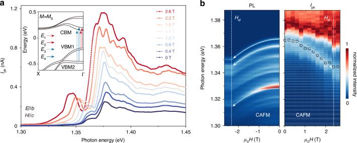 Fig. 3