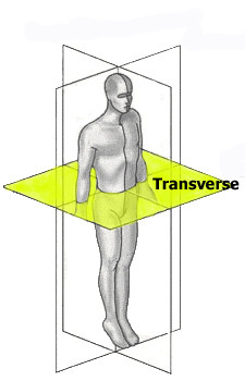 Figure 22