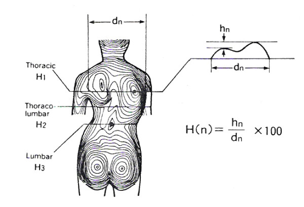 Figure 28