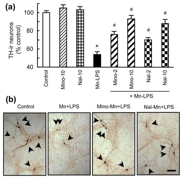 Fig. 7