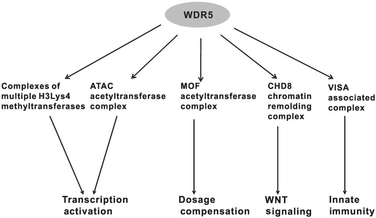 Figure 2.