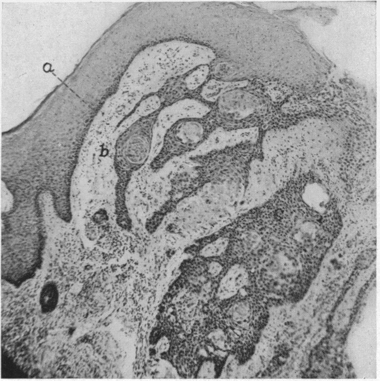 FIG. 8