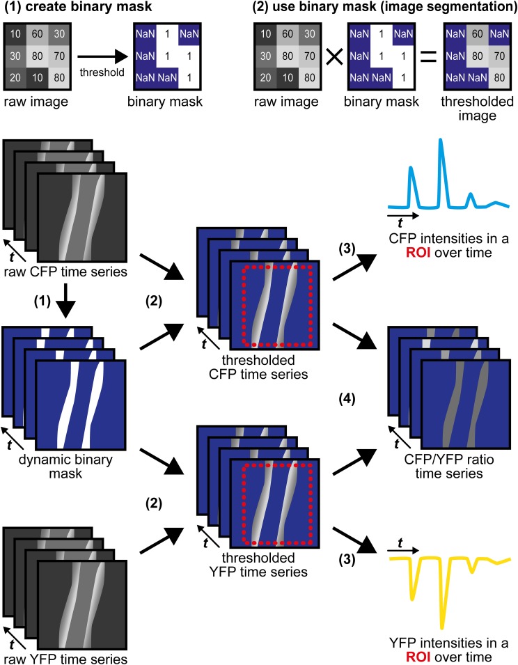 Figure 4