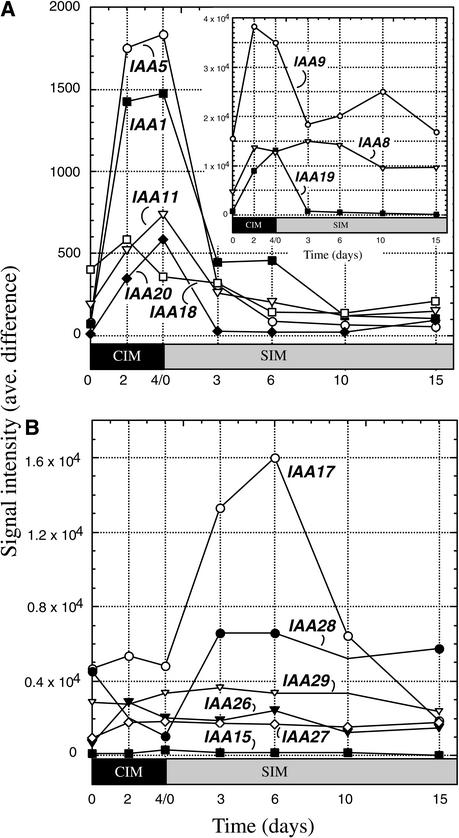 Figure 6.