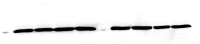 GAPDH pERK Figure3C