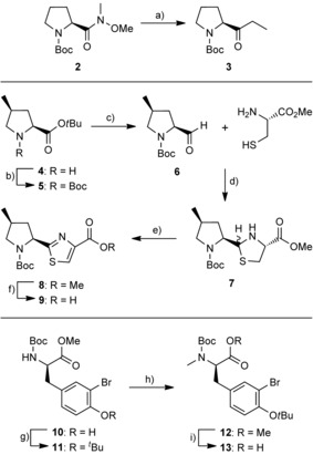 Scheme 2