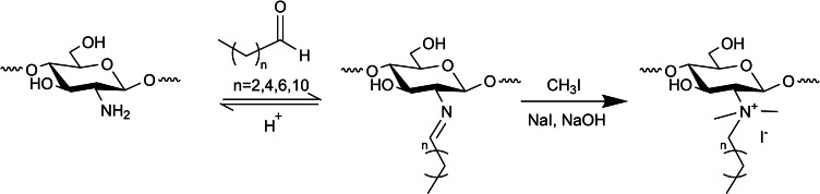 Scheme 4