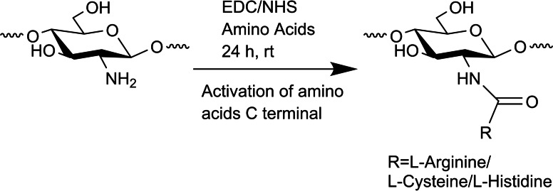 Scheme 2