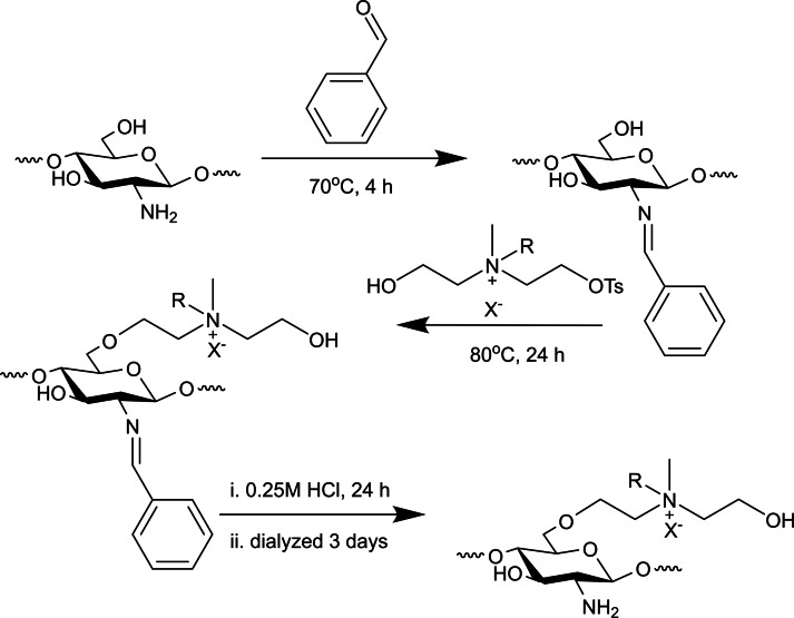 Scheme 6