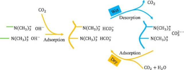 Scheme 12