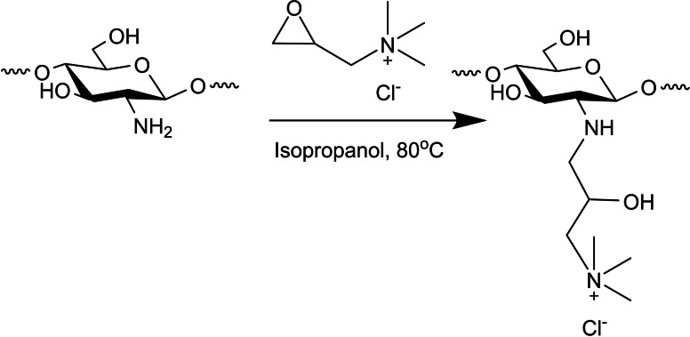 Scheme 5