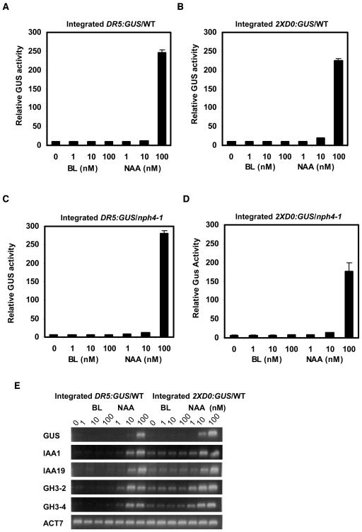 Figure 4.