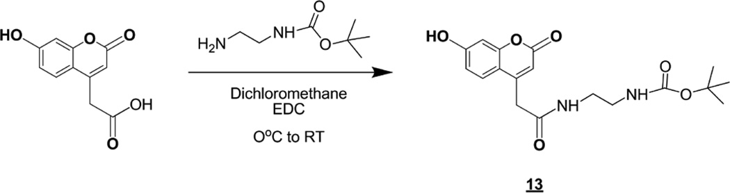 Scheme 5