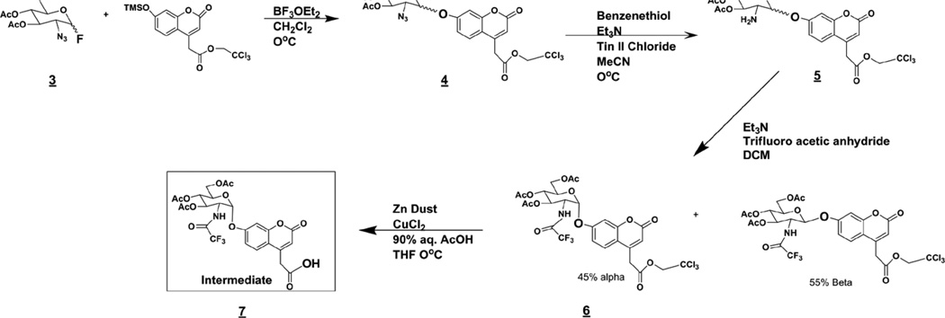 Scheme 3