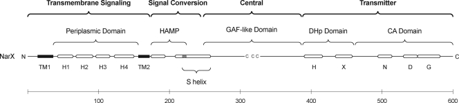 FIG. 1.