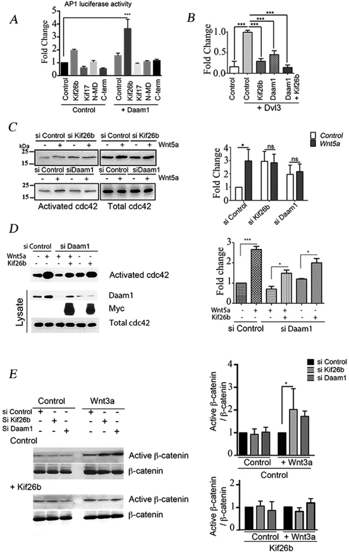 FIGURE 6: