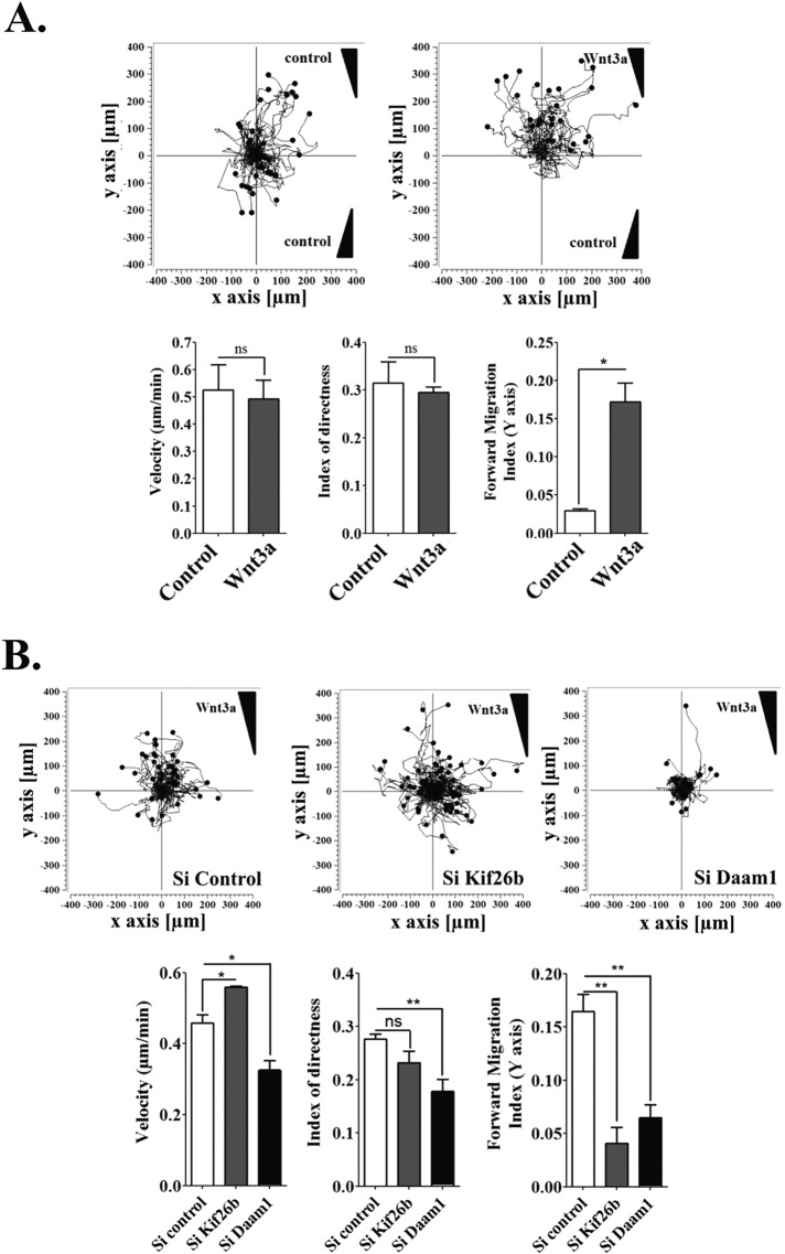 FIGURE 3: