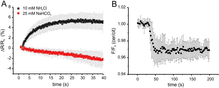 Figure 5—figure supplement 1.