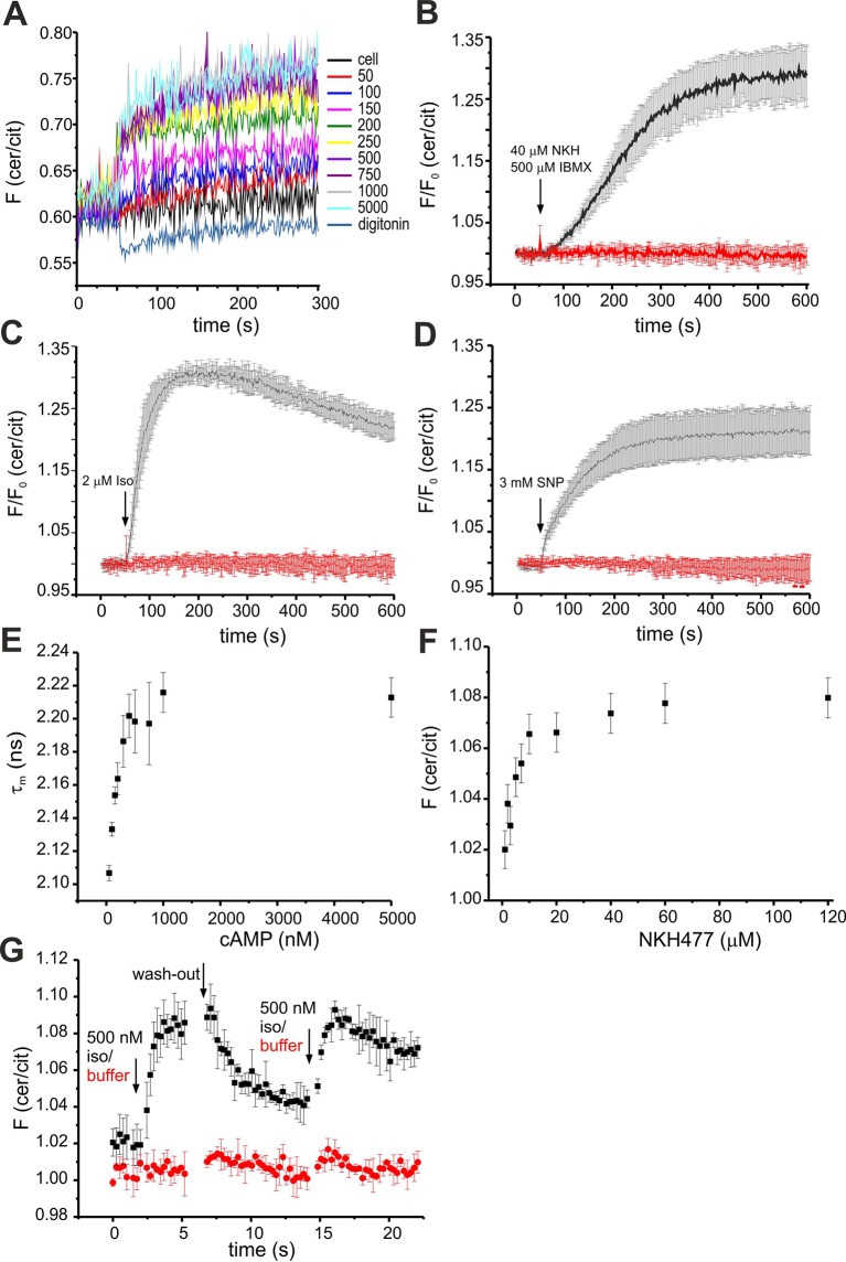 Figure 3—figure supplement 1.