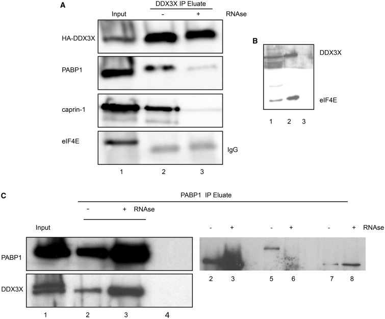 Figure 3.