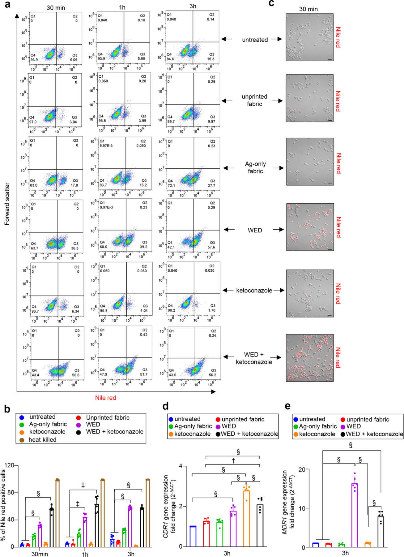 Figure 4: