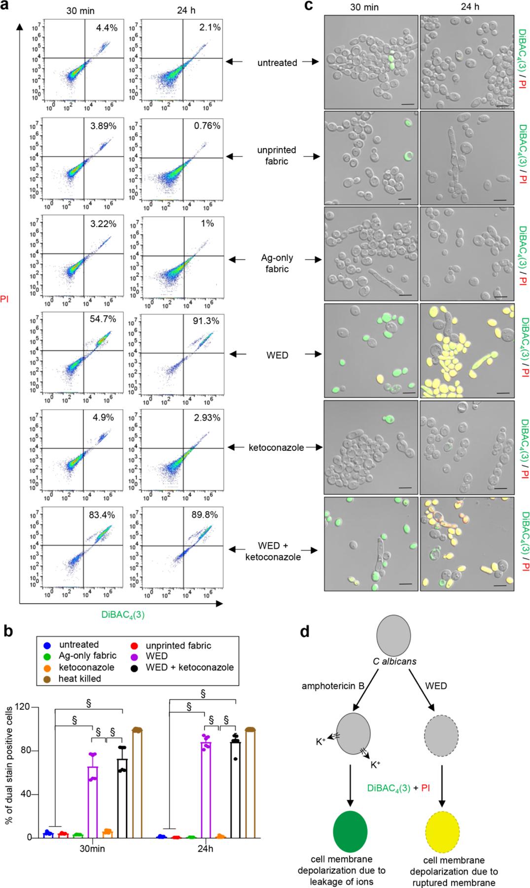 Figure 6: