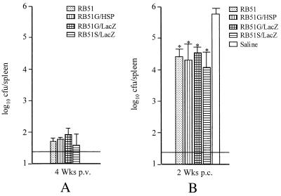 FIG. 6