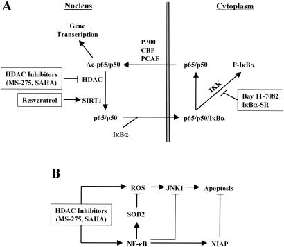 FIG. 10.