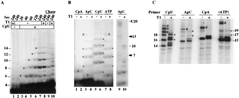 FIG. 7.