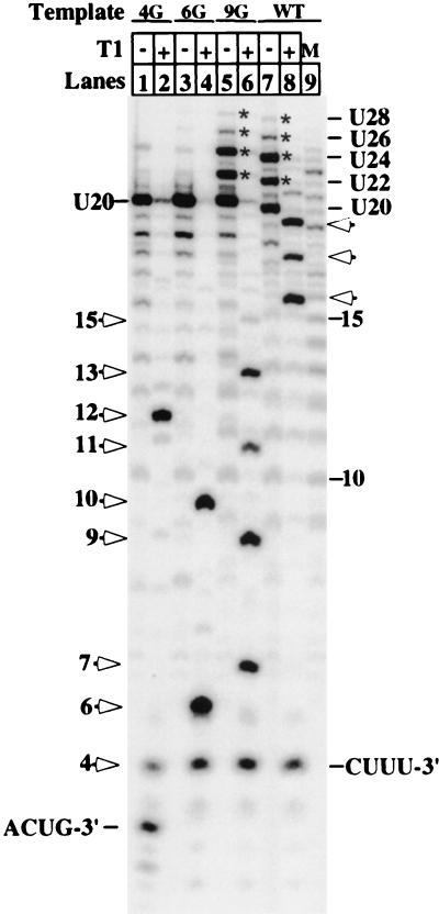 FIG. 4.