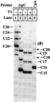 FIG. 5.