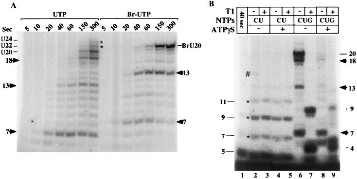 FIG. 8.