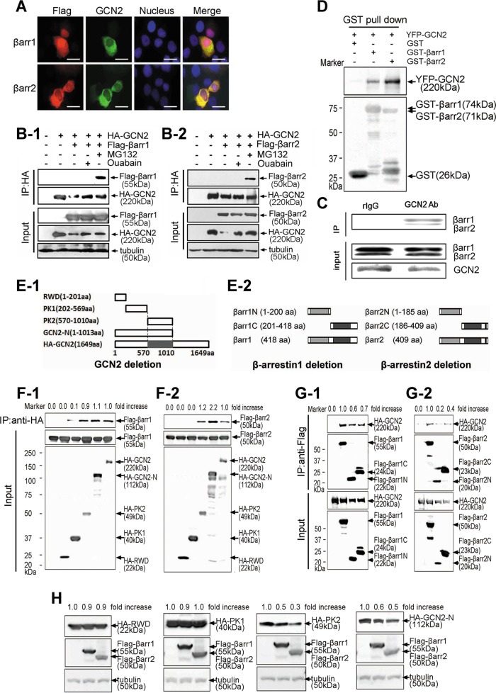 FIGURE 5: