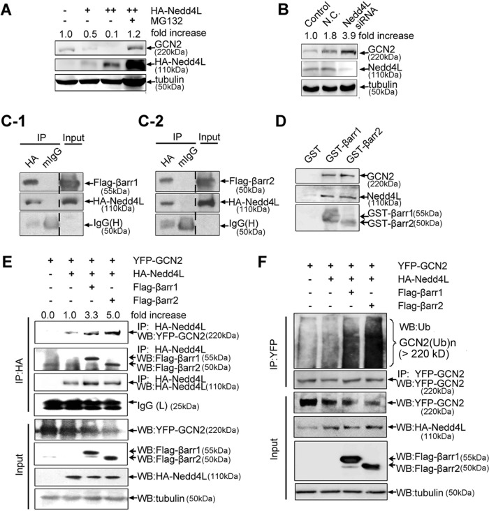 FIGURE 6: