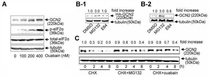 FIGURE 3: