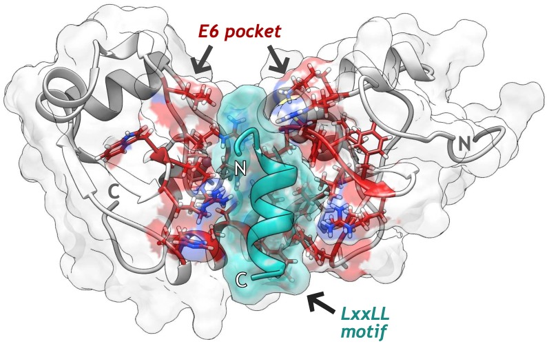 Fig 1