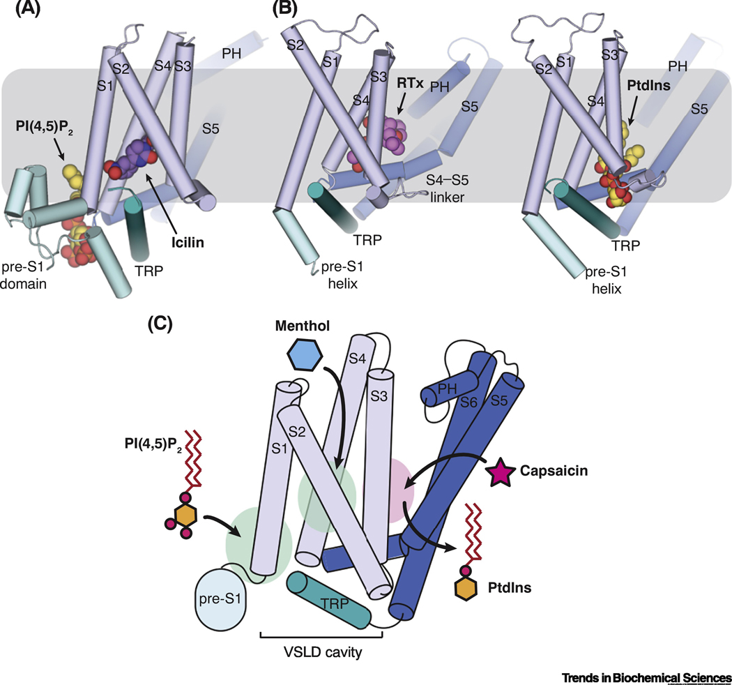 Figure 6.